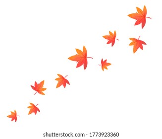Autumn leaves fall on the ground . 
Autumn leaves of maple