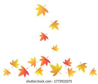 Autumn leaves fall on the ground . 
Autumn leaves of maple
