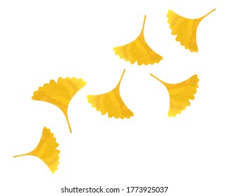 Autumn leaves fall on the ground . Ginkgo leaves