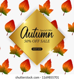 Autumn leaves fall with autumn pattern background. Sale offer banner template for promotion or advertising. vector illustration