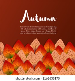 autumn leaves fall with red background. template promotion. vector illustration.