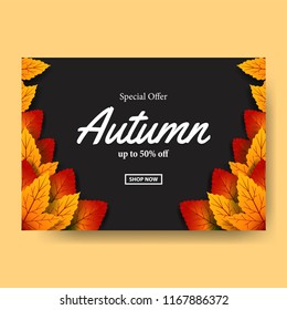 autumn leaves fall. sale offer template. poster template. banner template. vector illustration