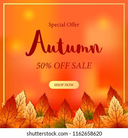 autumn leaves fall season with bokeh orange background. sale offer template. poster web template. vector illustration