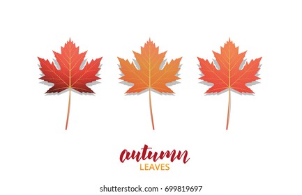 Autumn leaves. Fall leaves for seasonal  banners, ads, marketing etc. Autumn leaves vector set