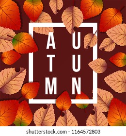 autumn leaves fall with white text and red background. sale offer poster template. vector illustration.