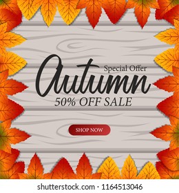 autumn leaves fall with wood background and leaves frame. sale offer template. poster discount template. vector illustration