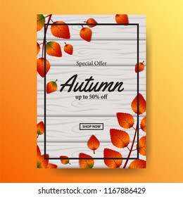 autumn leaves fall with wood background. sale offer template. poster template. banner template. vector illustration