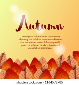 autumn leaves fall with yellow background and light effect. sale offer poster template. vector illustration.