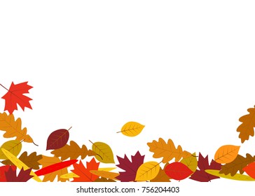 Autumn leaves fallen leaves background