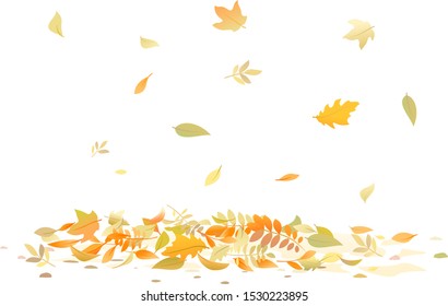 Autumn leaves fallen down on ground isolated illustration, multicolored dry leaves fall on pile, surface is covered with leaves