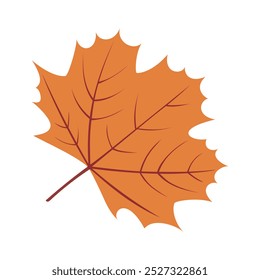 Autumn leaves, fallen leaves illustrated.