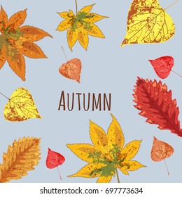 Autumn leaves falling beautiful, set, isolated, vector, illustration