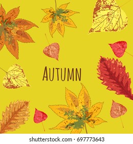 Autumn leaves falling beautiful, set, isolated, vector, illustration