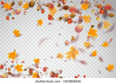 Autumn leaves falling. Leaves confetti. Vector stock.