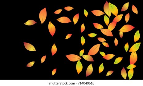 Autumn Leaves Falling Confetti. Vector Red, Yellow, Orange Birch Leaves Background. Windy Weather Border. Dry Autumn Leaves Falling Background or Frame. Seasonal Mood for September, October, November.