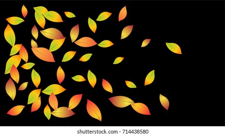 Autumn Leaves Falling Confetti. Vector Red, Yellow, Orange Birch Leaves Background. Windy Weather Border. Dry Autumn Leaves Falling Background or Frame. Seasonal Mood for September, October, November.