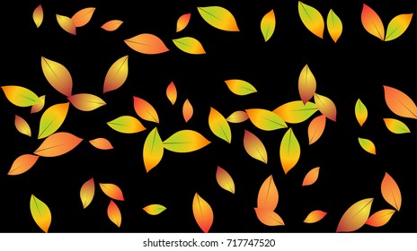 Autumn Leaves Falling Confetti. Vector Red, Yellow, Orange Birch Leaves Background. Windy Weather Border. Dry Autumn Leaves Falling Background or Frame. Seasonal Mood for September, October, November.
