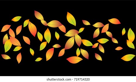 Autumn Leaves Falling Confetti. Vector Red, Yellow, Orange Birch Leaves Background. Windy Weather Border. Dry Autumn Leaves Falling Background or Frame. Seasonal Mood for September, October, November.