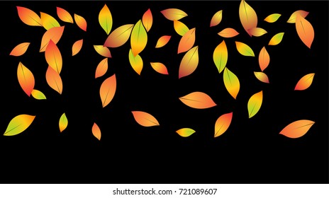 Autumn Leaves Falling Confetti. Vector Red, Yellow, Orange Birch Leaves Background. Windy Weather Border. Dry Autumn Leaves Falling Background or Frame. Seasonal Mood for September, October, November.
