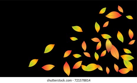 Autumn Leaves Falling Confetti. Vector Red, Yellow, Orange Birch Leaves Background. Windy Weather Border. Dry Autumn Leaves Falling Background or Frame. Seasonal Mood for September, October, November.