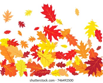 Autumn leaves falling down vector illustration. Red, yellow, orange and brown dry oak tree leaves background pattern.