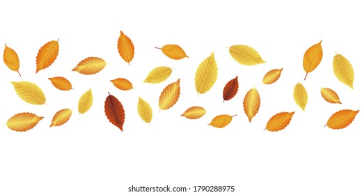 autumn leaves falling, fall isolated on white background. vector illustration. colorful fall red and yellow leaf backdrop