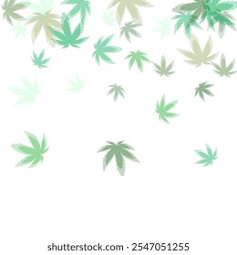 autumn leaves are falling flying white background isolated Isolated on white background. 
