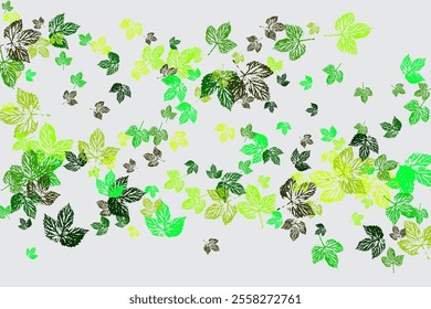 autumn leaves are falling flying white background isolated Greenery Environment Backdrop.