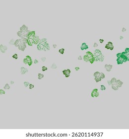 autumn leaves are falling flying white background isolated Greenery Environment Backdrop.