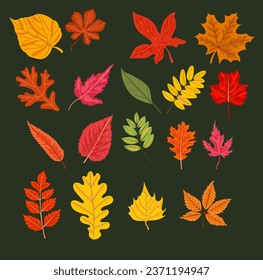 Autumn leaves or falling foliage icon. Vector isolated set of maple, oak or birch and rowan tree leaves.