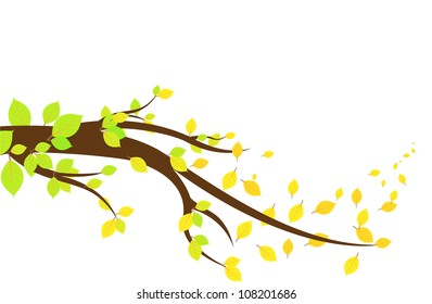 Autumn leaves falling isolated on white vector