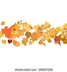 Autumn leaves falling and spinning on white. EPS10