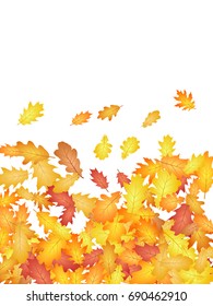 Autumn leaves falling vector illustration. Red, yellow, orange and brown dry oak tree leaves background pattern. Autumn foliage confetti vector graphic design.