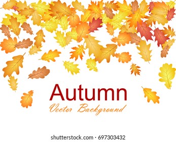 Autumn leaves falling vector illustration. Red, yellow, orange and brown dry oak tree leaves background pattern. Autumn oak foliage confetti vector graphic design.