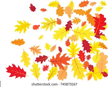 Autumn leaves falling vector illustration. Red, yellow, orange and brown dry oak tree leaves background pattern. Foliage falling confetti.