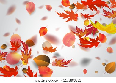 Autumn leaves falling. Vector stock.