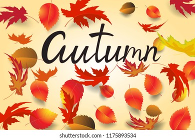 Autumn leaves falling. Vector stock.