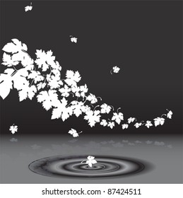 Autumn leaves falling in to the water, vector