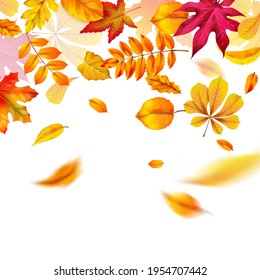 Autumn leaves falling. Yellow red and orange fall realistic foliage flying. Autumnal frame or border for banner, flyer and card template. Vector abstract background with copy space