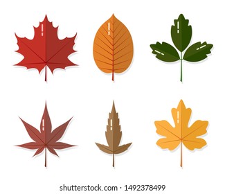 Autumn leaves flat design set