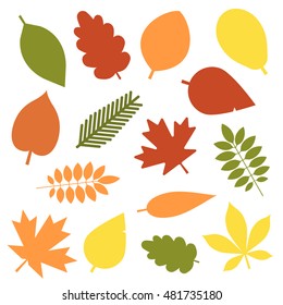 Autumn leaves flat design set. Green, red and orange fallen autumn leaf set. Maple, spruce, oak, rowan, birch and more tree leaves collection isolated on white background.