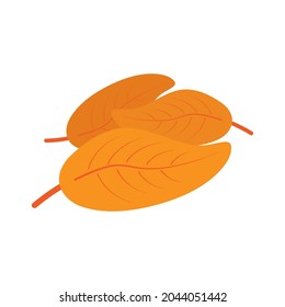 Autumn leaves. Flat design vector illustration isolated on white background.