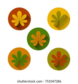 Autumn Leaves Flat Icon Vector