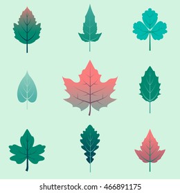 Autumn leaves flat set, isolated on green background. Designed in cartoon style. Vector illustration eps10.