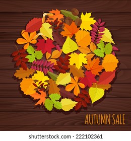 autumn leaves  in flat style. on  wood background