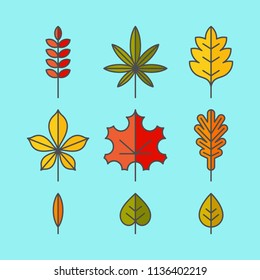 Autumn leaves flat vector icons set. Tree leaves flat vector icons set