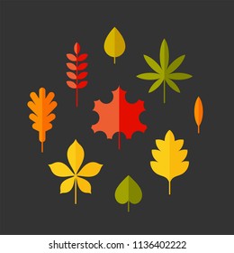 Autumn leaves flat vector icons set. Tree leaves flat vector icons set