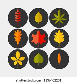 Autumn leaves flat vector icons set. Tree leaves flat vector icons set