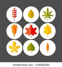 Autumn leaves flat vector icons set. Tree leaves flat vector icons set