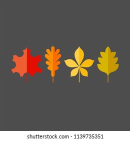 Autumn leaves flat vector icons set. Tree leaves flat vector icons set